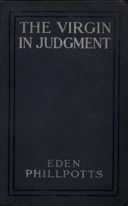Cover of The Virgin in Judgment — Story, Setting & Ideas